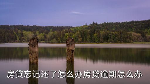 房貸產(chǎn)生逾期怎么還，房貸每月按時(shí)交了怎么還有逾期