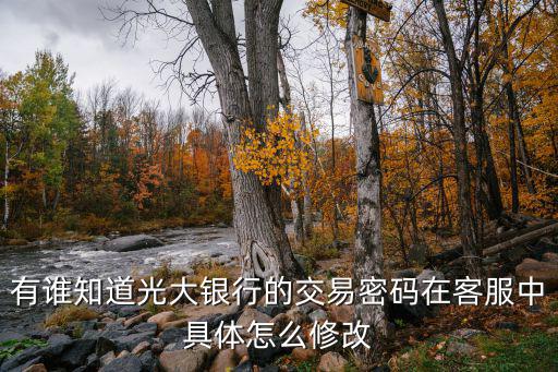 光大怎么修改交易密碼修改，有誰知道光大銀行的交易密碼在客服中具體怎么修改