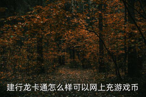 建行龍卡通怎么樣可以網(wǎng)上充游戲幣