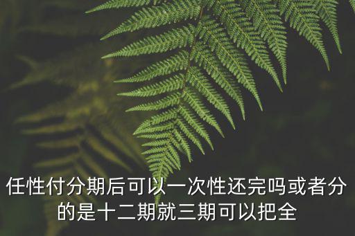 任性付分期后可以一次性還完嗎或者分的是十二期就三期可以把全