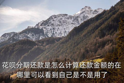 花唄分期還款是怎么計(jì)算還款金額的在哪里可以看到自己是不是用了