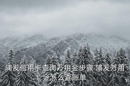 浦發(fā)信用卡查詢?nèi)f用金步驟 浦發(fā)萬用金怎么查賬單