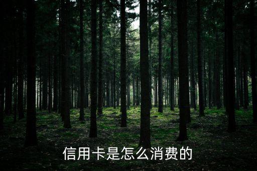 信用卡一般怎么消費(fèi)，信用卡是怎么消費(fèi)的