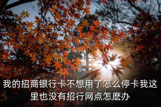 我的招商銀行卡不想用了怎么?？ㄎ疫@里也沒有招行網(wǎng)點怎麼辦