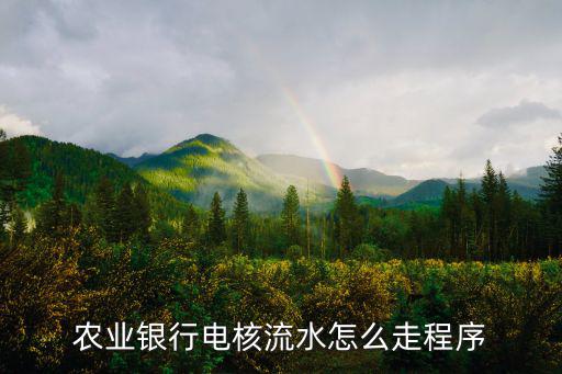 農(nóng)業(yè)銀行電核流水怎么走程序