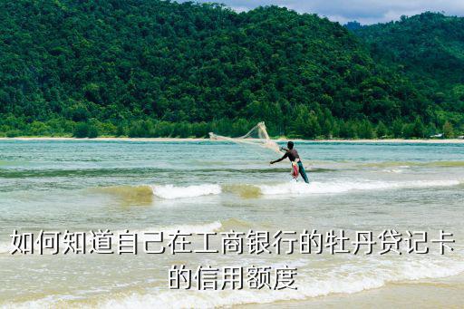 如何知道自己在工商銀行的牡丹貸記卡的信用額度