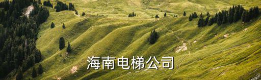海南嘉司有限公司怎么樣，海南電梯公司