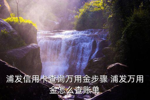浦發(fā)萬用金額度怎么看，浦發(fā)萬用金是用的信用卡額度嗎