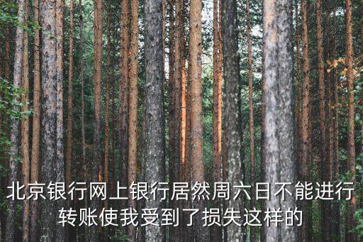 北京銀行個人網(wǎng)上銀行怎么不能轉(zhuǎn)賬，怎么我的網(wǎng)上銀行不可以轉(zhuǎn)帳