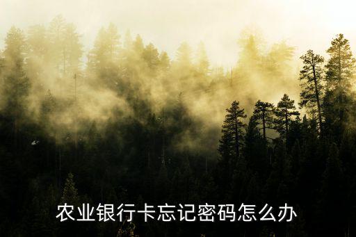 農(nóng)行的密碼忘了怎么辦，忘記農(nóng)業(yè)銀行密碼怎么辦