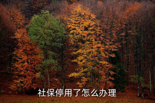 社保停用了怎么辦理
