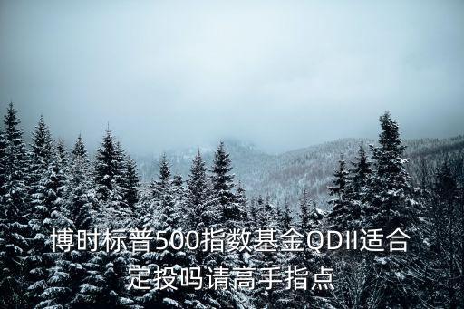 博時(shí)標(biāo)普500指數(shù)基金QDII適合定投嗎請(qǐng)高手指點(diǎn)