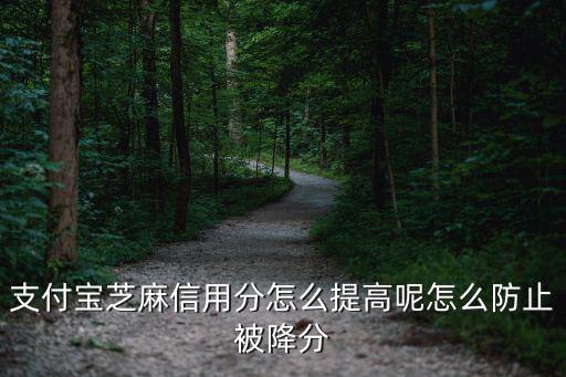 怎么樣提升芝麻信用，芝麻信用分怎么提高