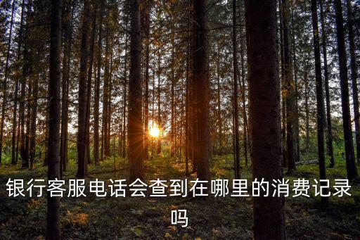 銀行電話查交易記錄怎么查詢，打電話問客服可以查到銀行卡交易記錄嗎