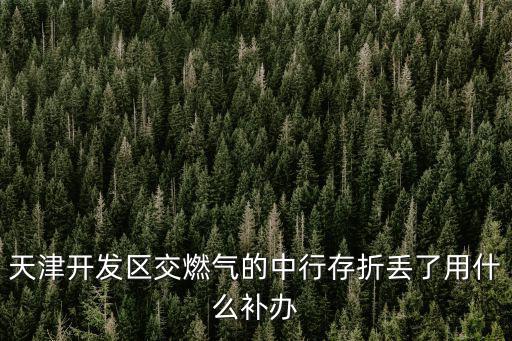 煤氣存折丟了怎么補(bǔ)辦，天津開(kāi)發(fā)區(qū)交燃?xì)獾闹行写嬲蹃G了用什么補(bǔ)辦