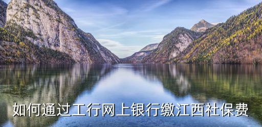 如何通過工行網上銀行繳江西社保費