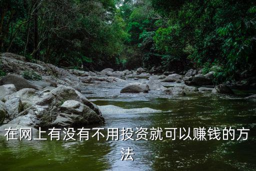 在網(wǎng)上有沒有不用投資就可以賺錢的方法