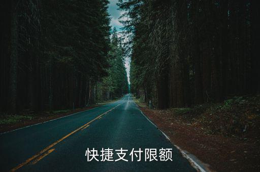 快捷支付限額