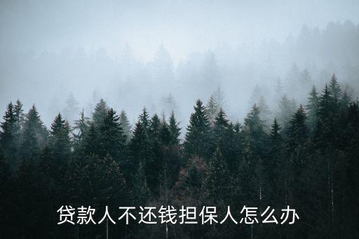 貸款人不還錢擔(dān)保人怎么辦