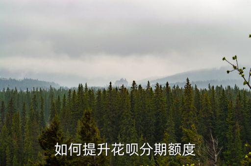如何提升花唄分期額度
