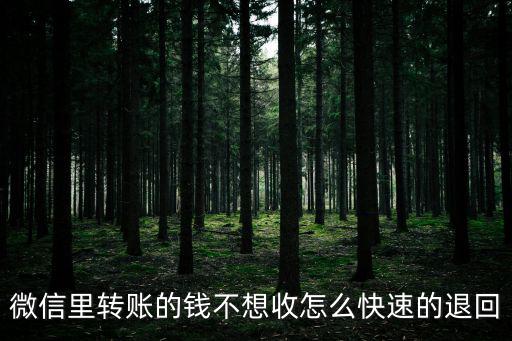 微信里轉(zhuǎn)賬的錢不想收怎么快速的退回