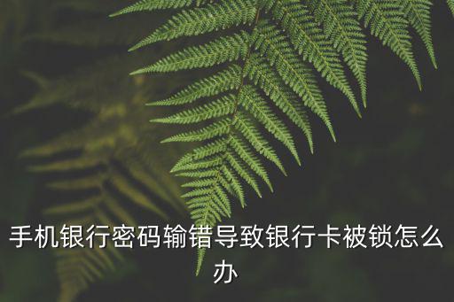 電話銀行密碼錯(cuò)誤被鎖定怎么辦，手機(jī)銀行密碼輸錯(cuò)被鎖怎么辦