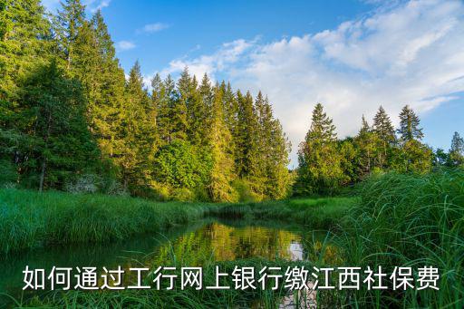 工行e繳費怎么解釋，怎么通過手機銀行繳納工行四川地區(qū)電費