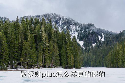 聚愛財plus怎么樣真的假的
