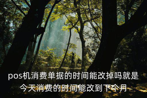 pos機(jī)消費(fèi)單據(jù)的時(shí)間能改掉嗎就是今天消費(fèi)的時(shí)間能改到下個(gè)月