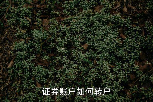 證券賬戶如何轉(zhuǎn)戶