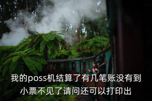 我的poss機(jī)結(jié)算了有幾筆賬沒(méi)有到小票不見(jiàn)了請(qǐng)問(wèn)還可以打印出