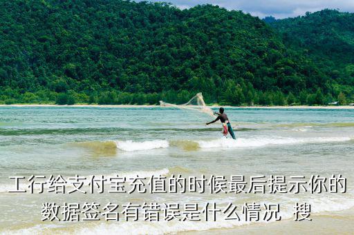 工行給支付寶充值的時候最后提示你的數(shù)據(jù)簽名有錯誤是什么情況  搜