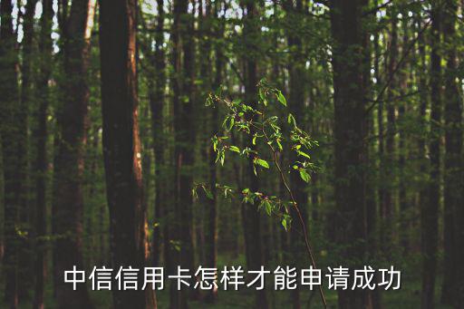 中信信用卡怎樣才能申請成功