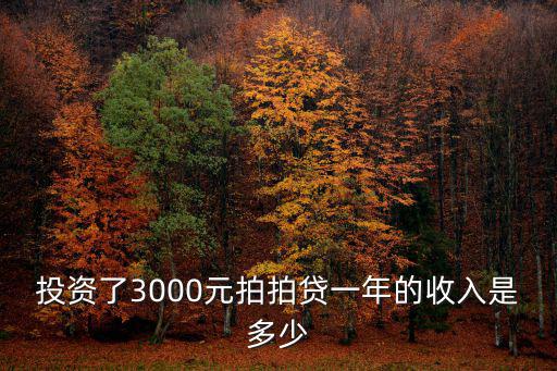 投資了3000元拍拍貸一年的收入是多少