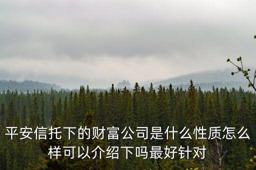 平安信托下的財(cái)富公司是什么性質(zhì)怎么樣可以介紹下嗎最好針對(duì)