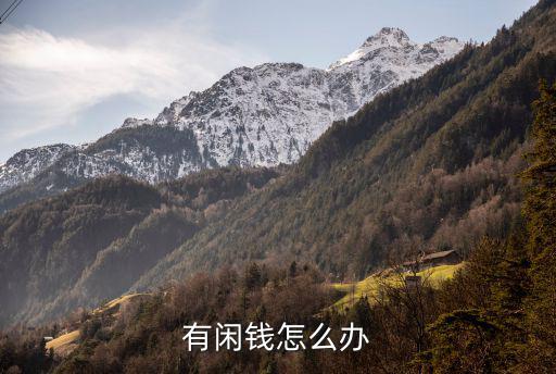 有閑錢(qián)怎么辦