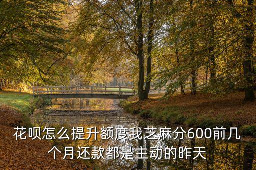 還款提升花唄額度怎么辦，花唄怎么提升額度我芝麻分600前幾個月還款都是主動的昨天