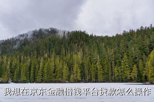 我想在京東金融借錢(qián)平臺(tái)貸款怎么操作