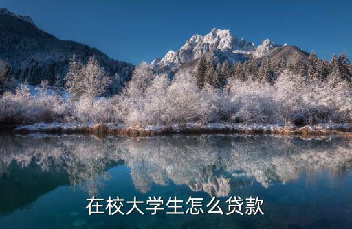 怎么放貸款給學(xué)生，生源地助學(xué)貸款怎樣發(fā)放