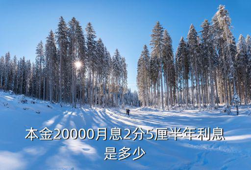 本金20000月息2分5厘半年利息是多少