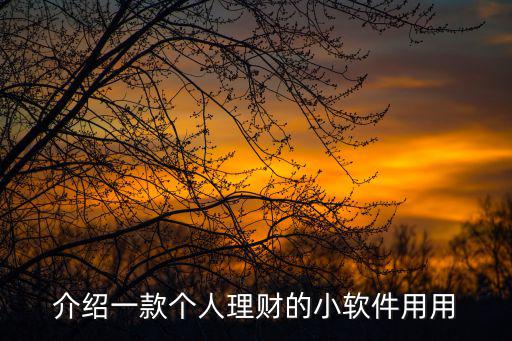 理財軟件怎么玩的，介紹一款個人理財?shù)男≤浖糜?/></a></span><span id=