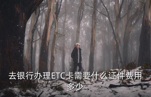 去銀行辦理ETC卡需要什么證件費用多少