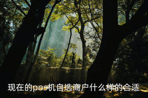 現(xiàn)在的pos機(jī)自選商戶什么樣的合適