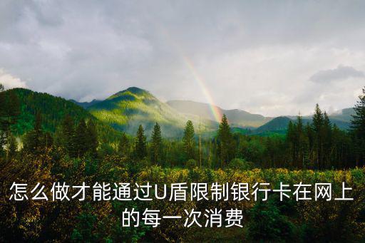 怎么做才能通過U盾限制銀行卡在網(wǎng)上的每一次消費(fèi)
