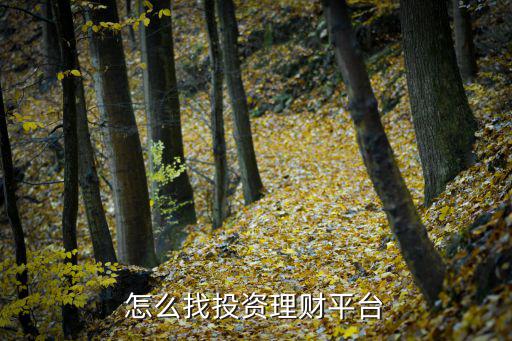 怎么找理財羊頭，怎么找投資理財平臺