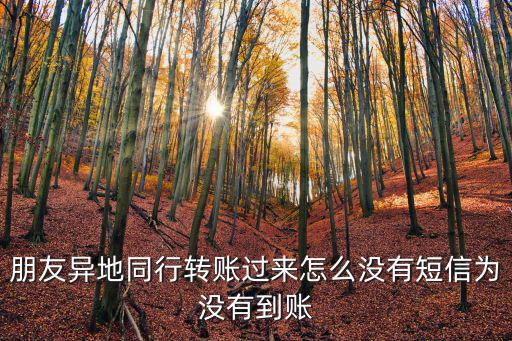 朋友異地同行轉(zhuǎn)賬過(guò)來(lái)怎么沒有短信為沒有到賬