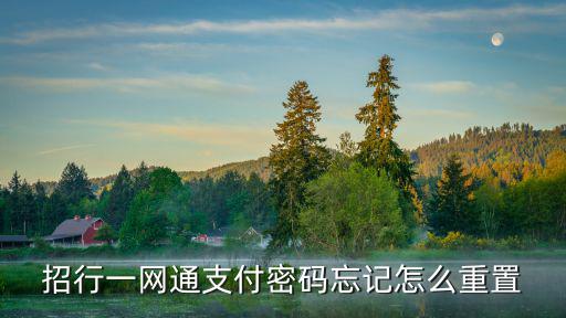 招行一網(wǎng)通支付密碼忘記怎么重置