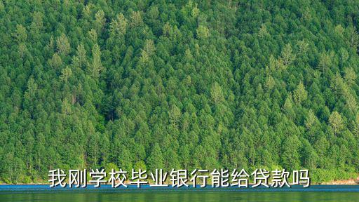 我剛學(xué)校畢業(yè)銀行能給貸款嗎