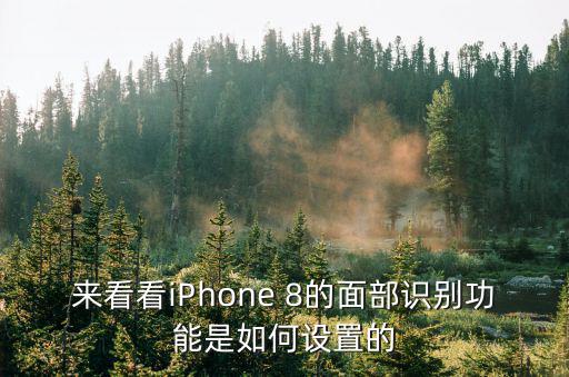 蘋果8刷臉解鎖怎么設(shè)置，蘋果8手機怎樣設(shè)置面容解鎖