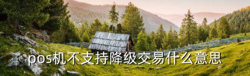 pos機不支持降級交易什么意思